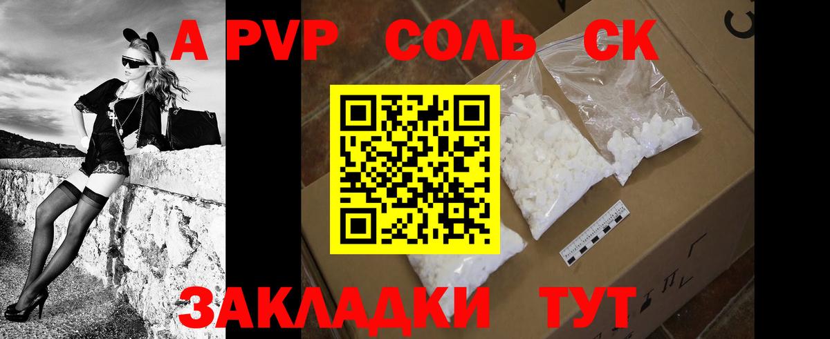 Альфа ПВП СК Гудермес