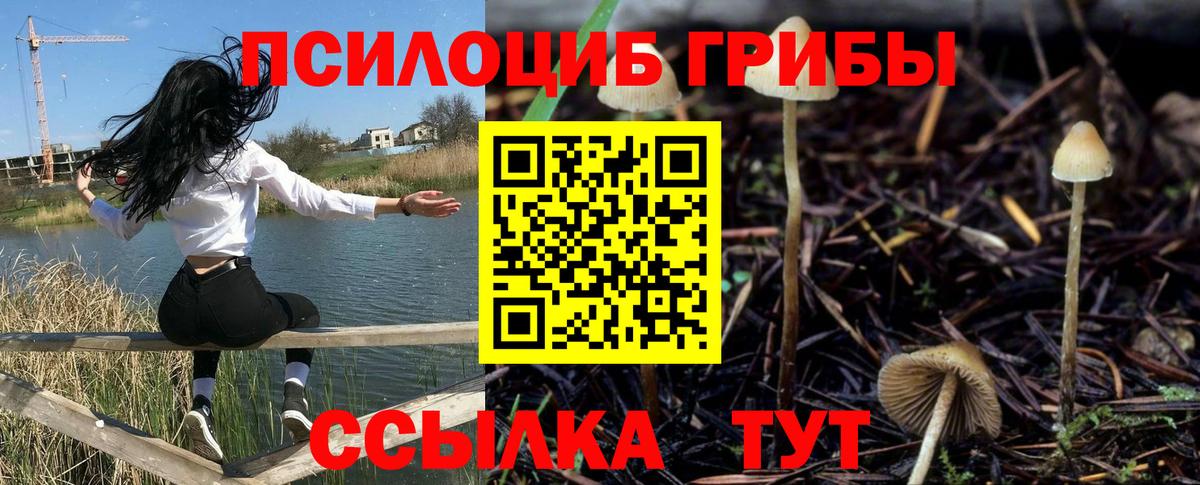 Галлюциногенные грибы GOLDEN TEACHER Гудермес